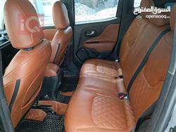 جيب رينيجيد